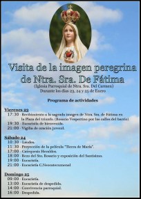 visitavirgenperegrinaenenero2015