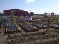 11091034_463143637184443_9025615448249888258_o