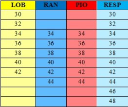 enlace con las tallas